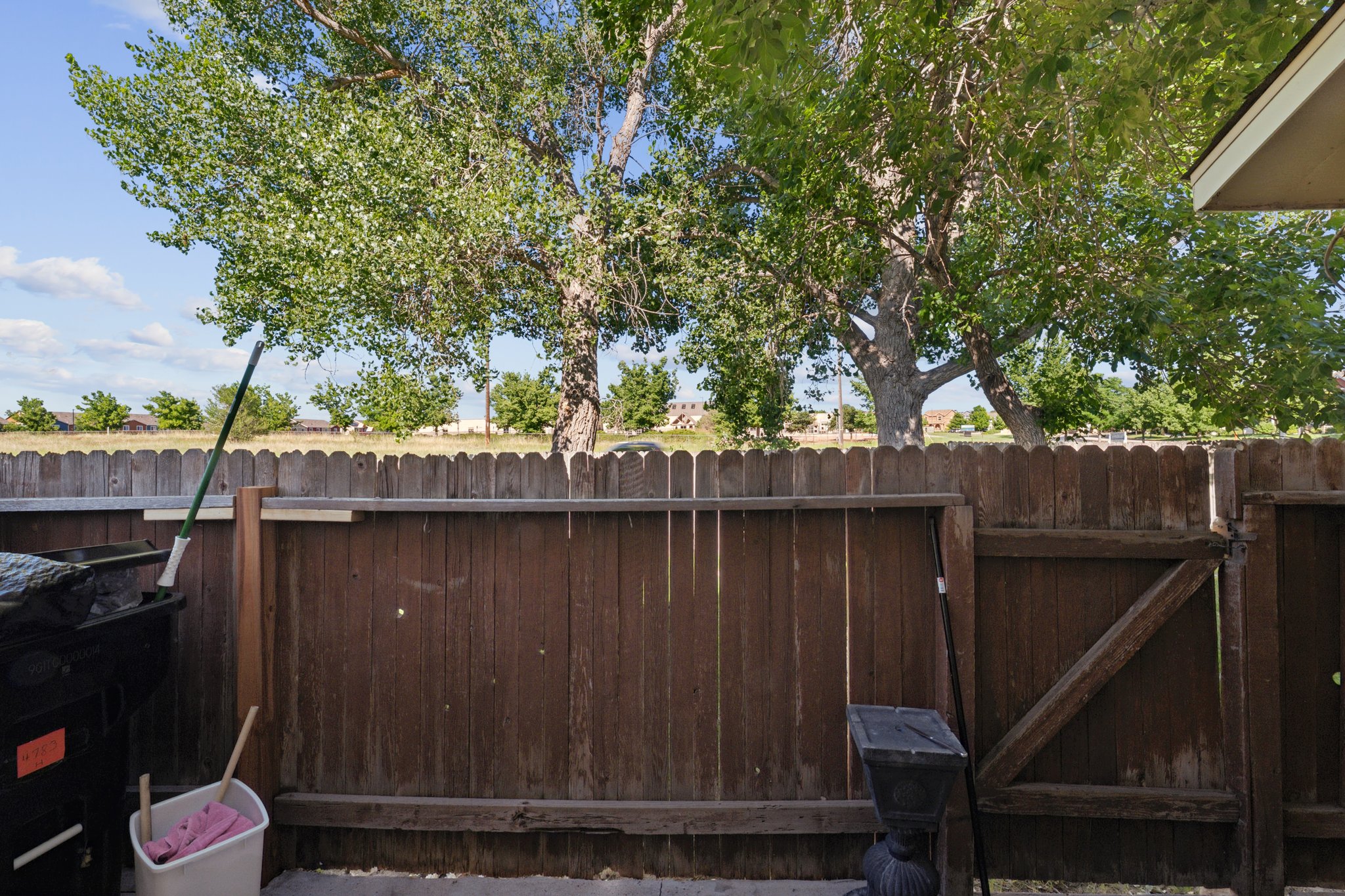 BCM_0886.jpg