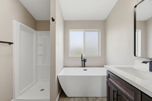 Primary Bathroom (2)