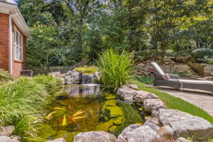 Koi Pond