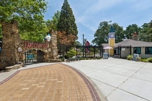 Rex Ct-0205-901.jpg