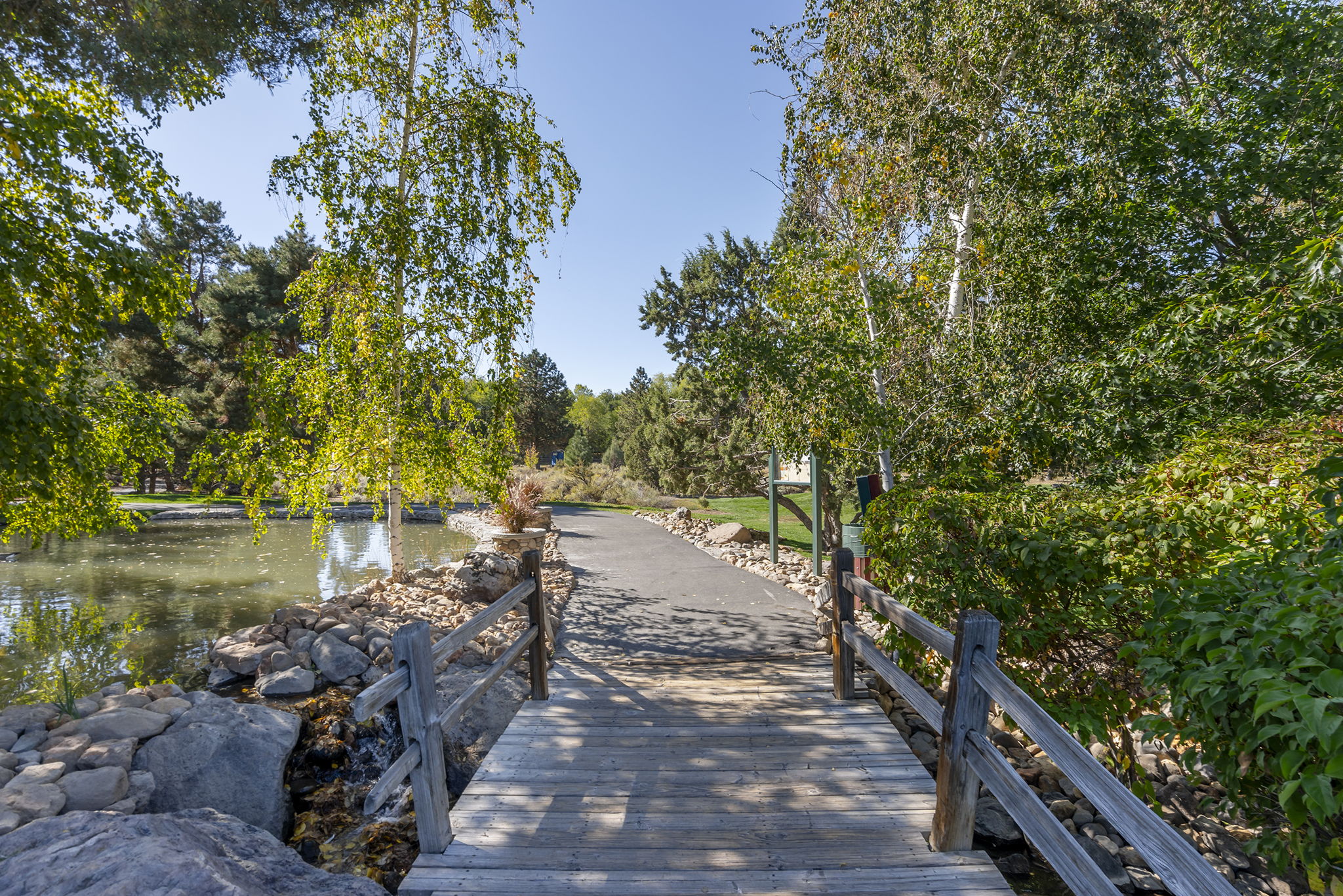  Photo 49
