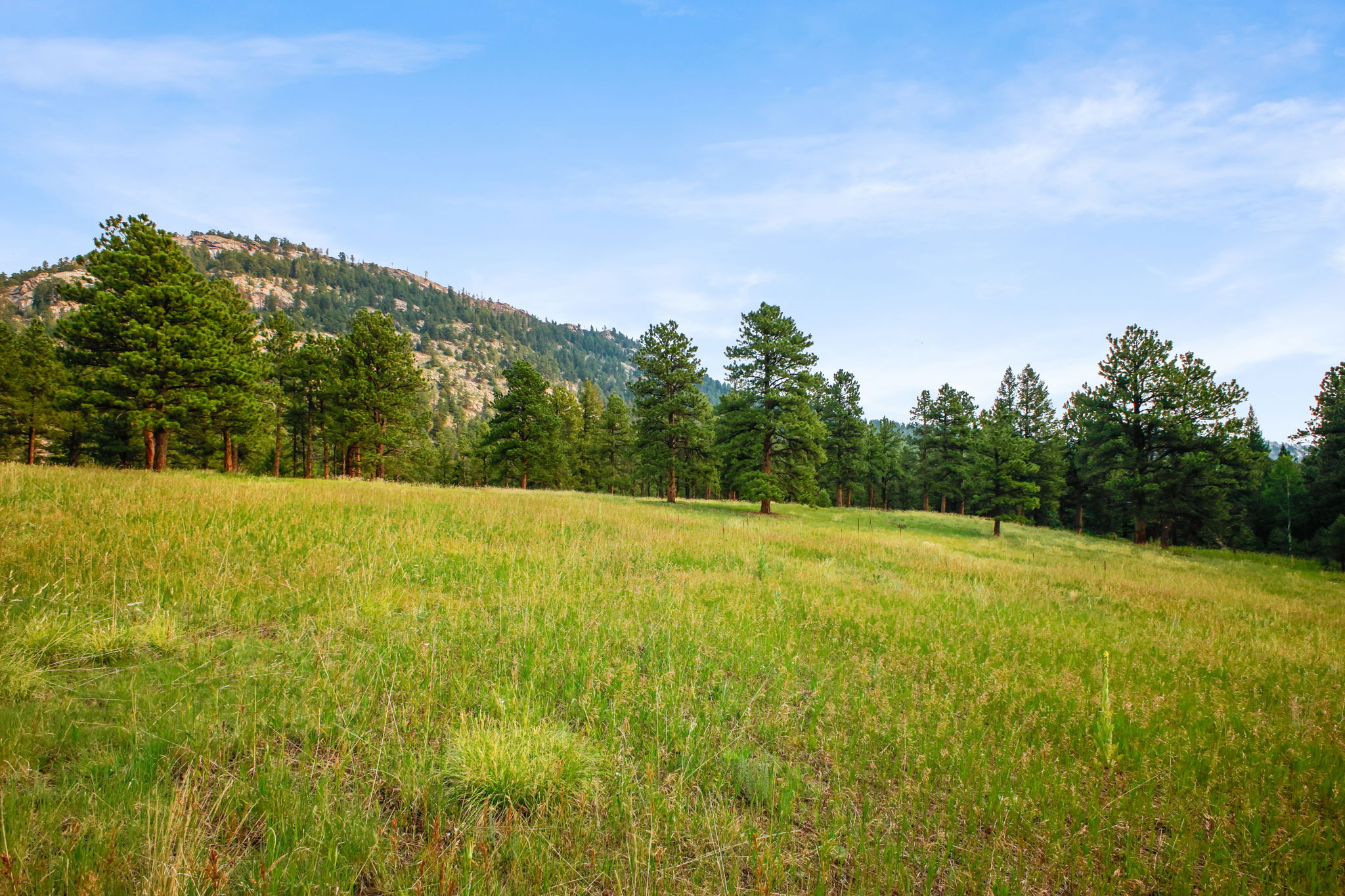 9.83 acres adjacent to Elephant Butte