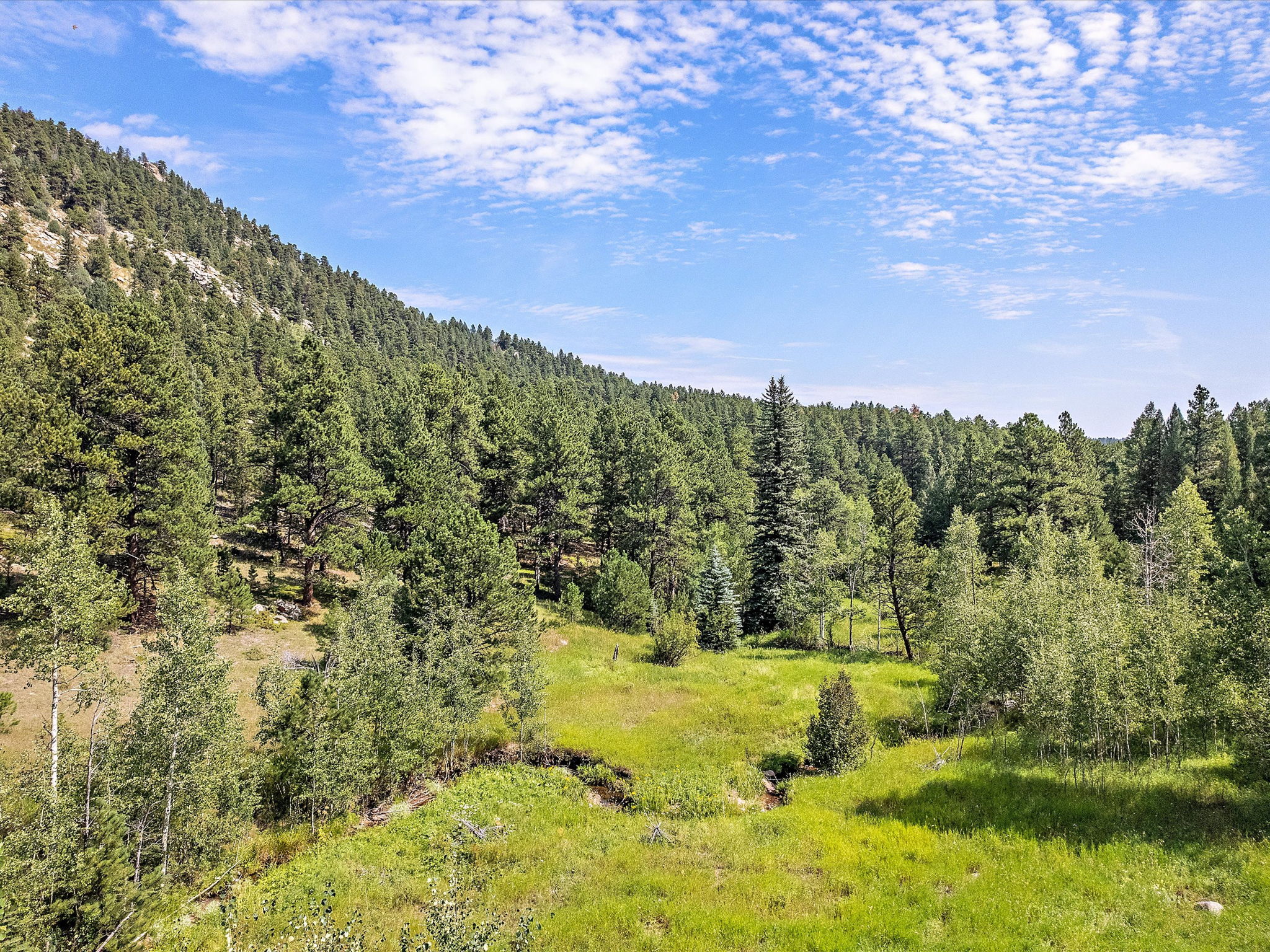Buffalo Creek running through the property