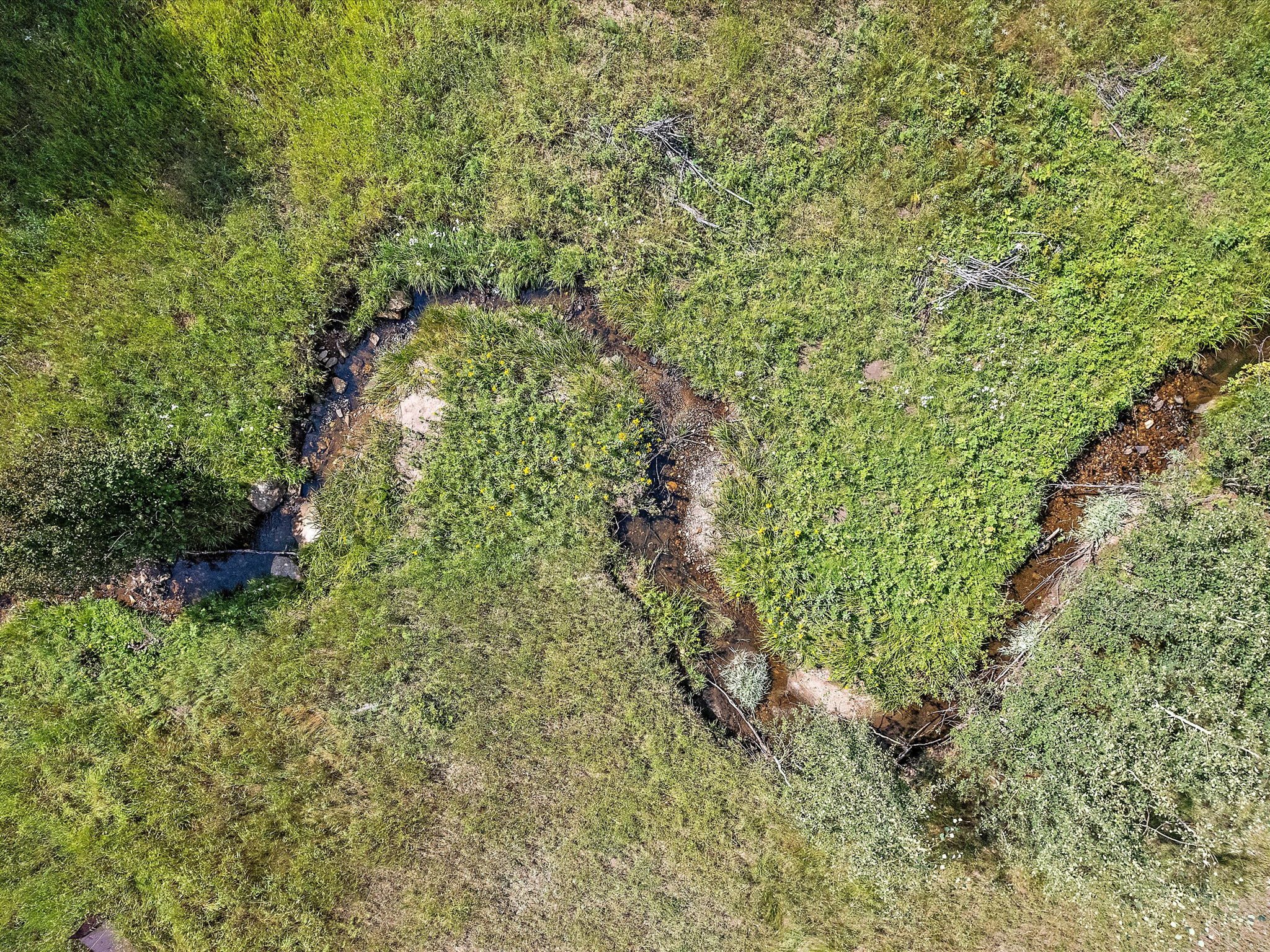 Buffalo Creek