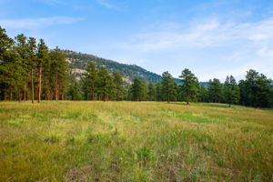 Flat meadow area