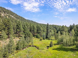 Buffalo Creek running through the property