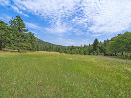 Space to build a legacy retreat