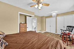 Photo 49