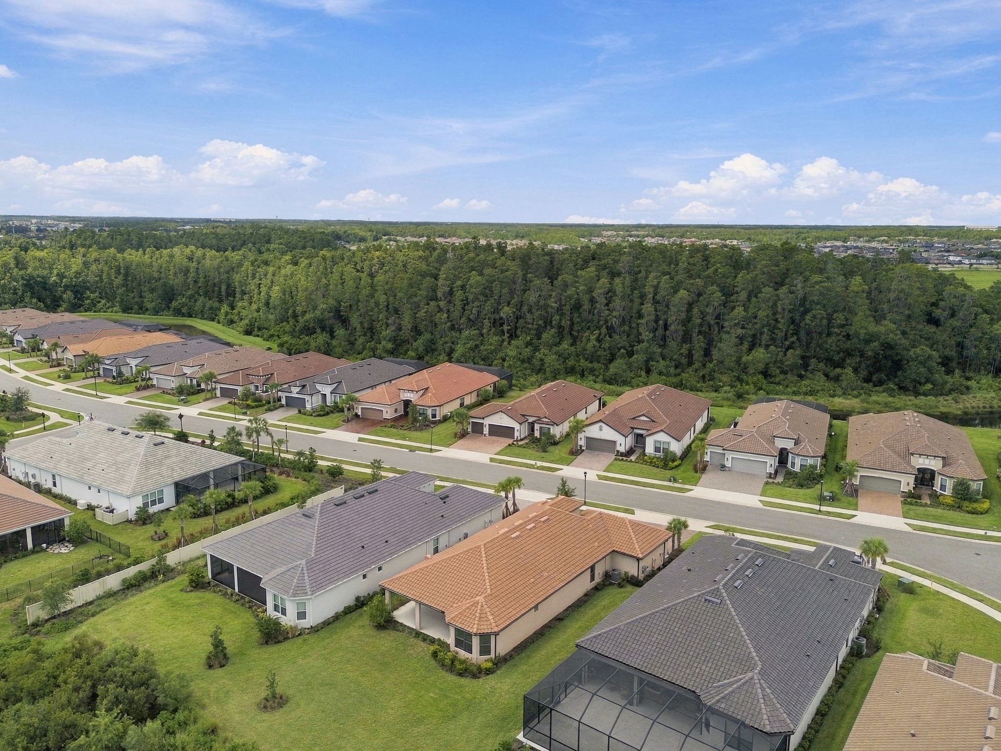DJI_0113