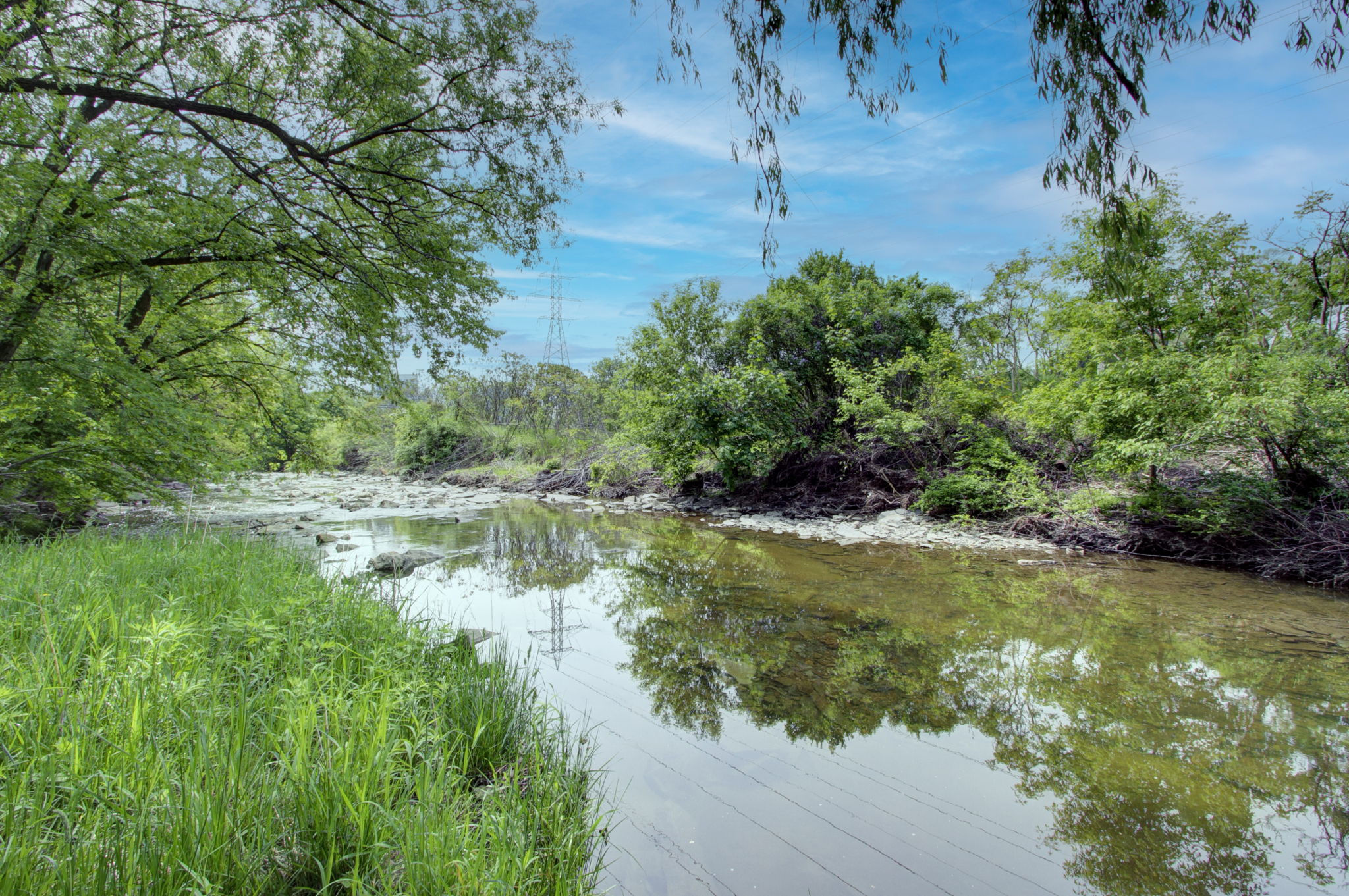  Photo 43
