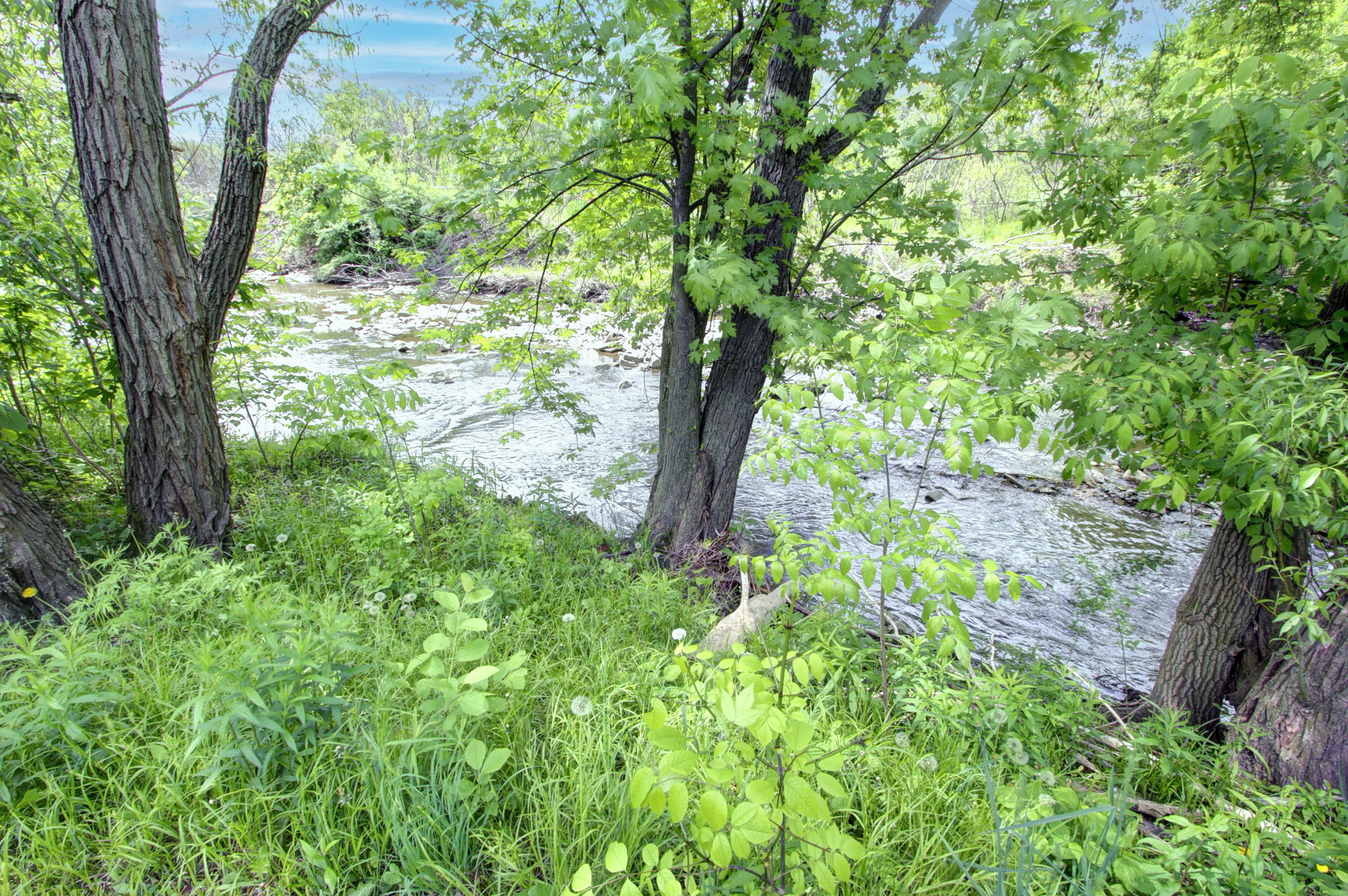 Photo 46
