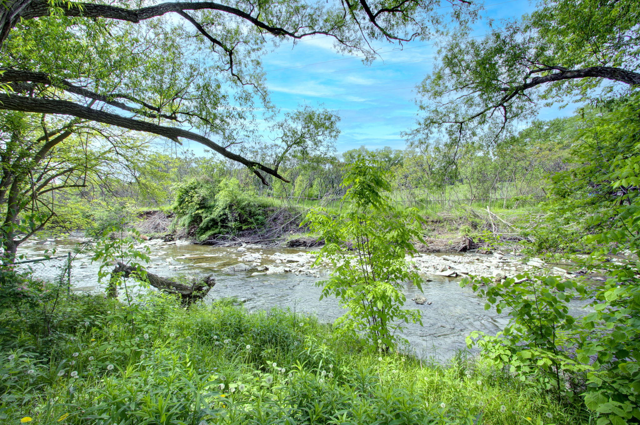  Photo 47