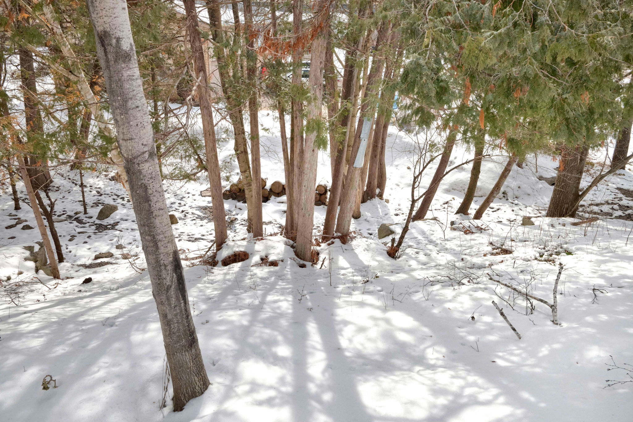  Photo 42