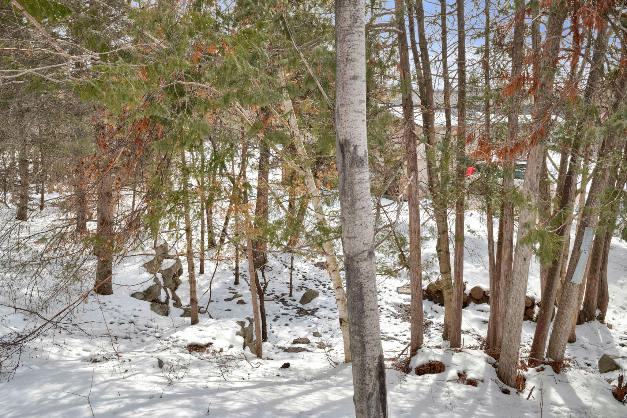  Photo 43