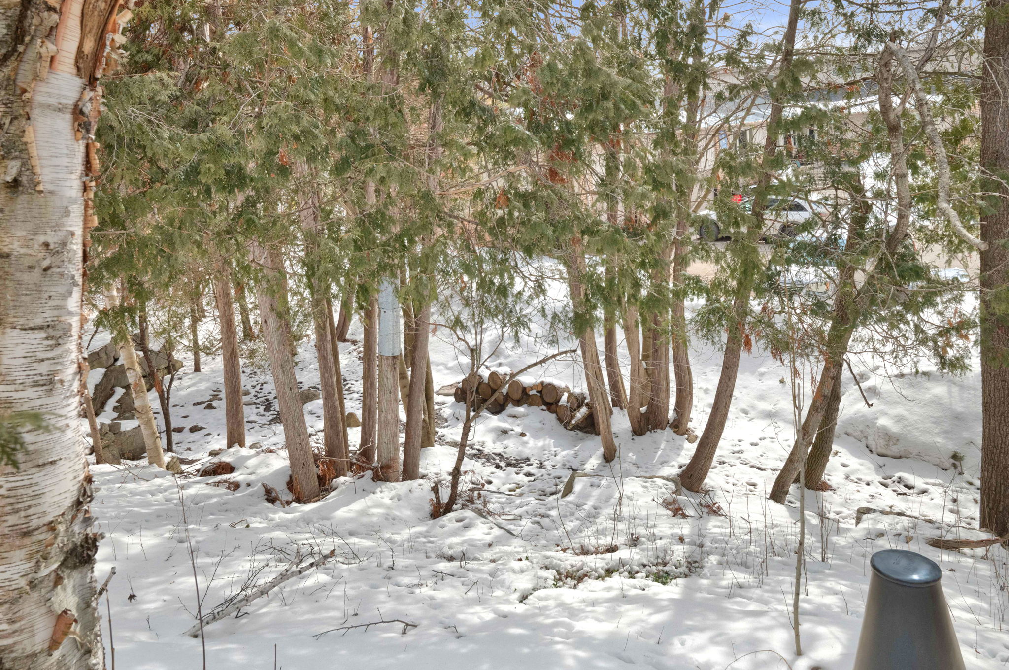  Photo 46