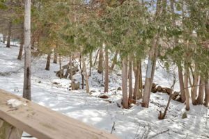  Photo 49