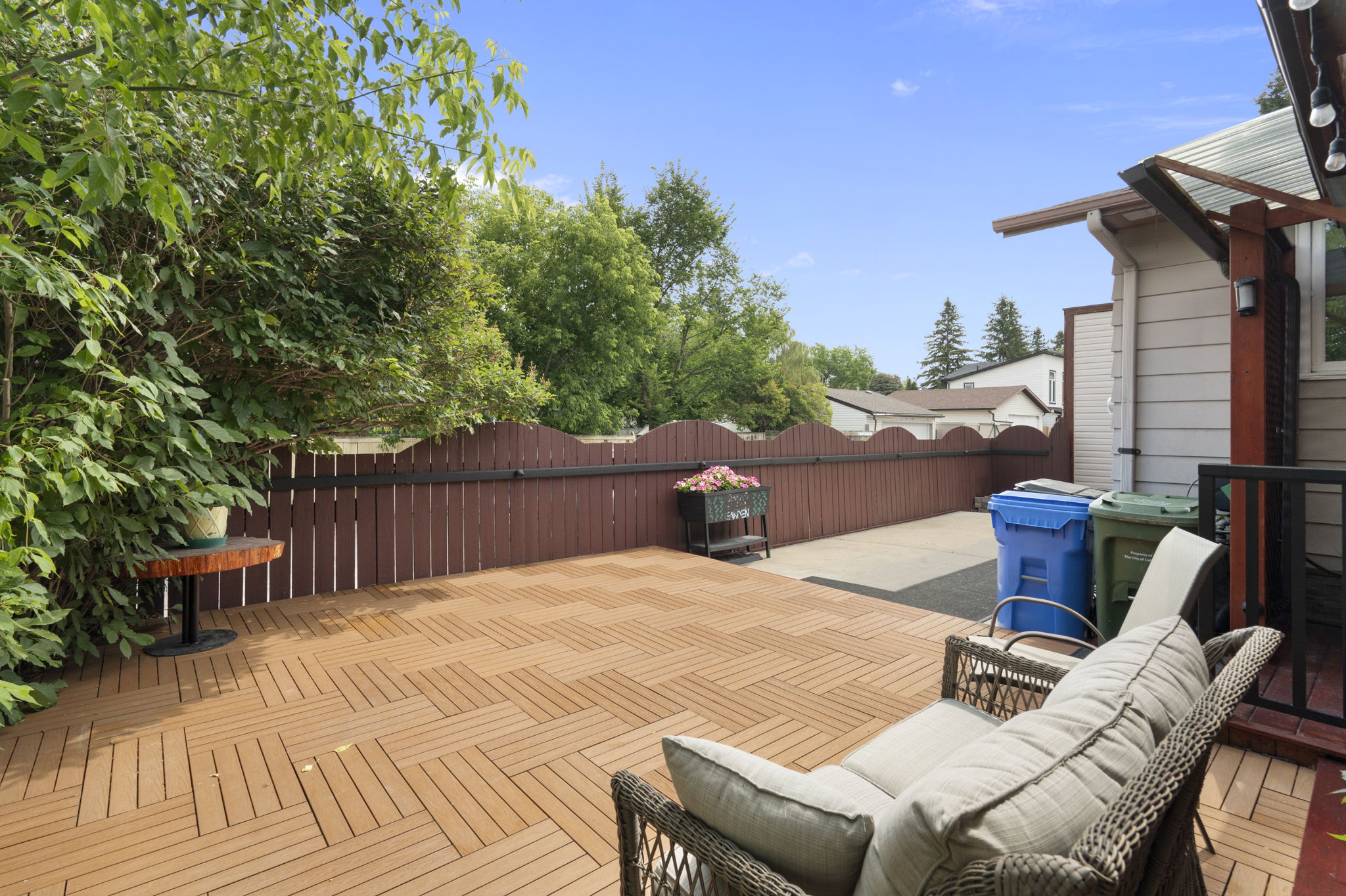  Photo 61