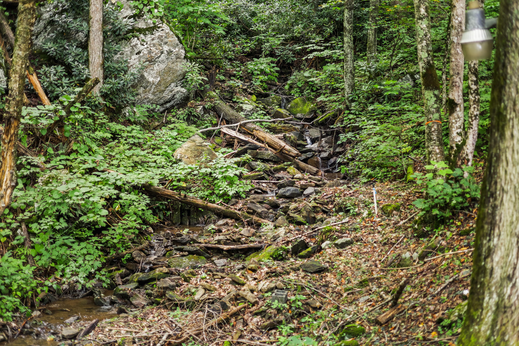  Photo 40