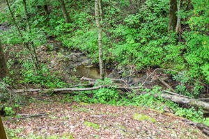  Photo 37