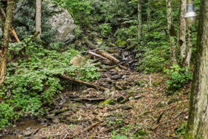  Photo 39
