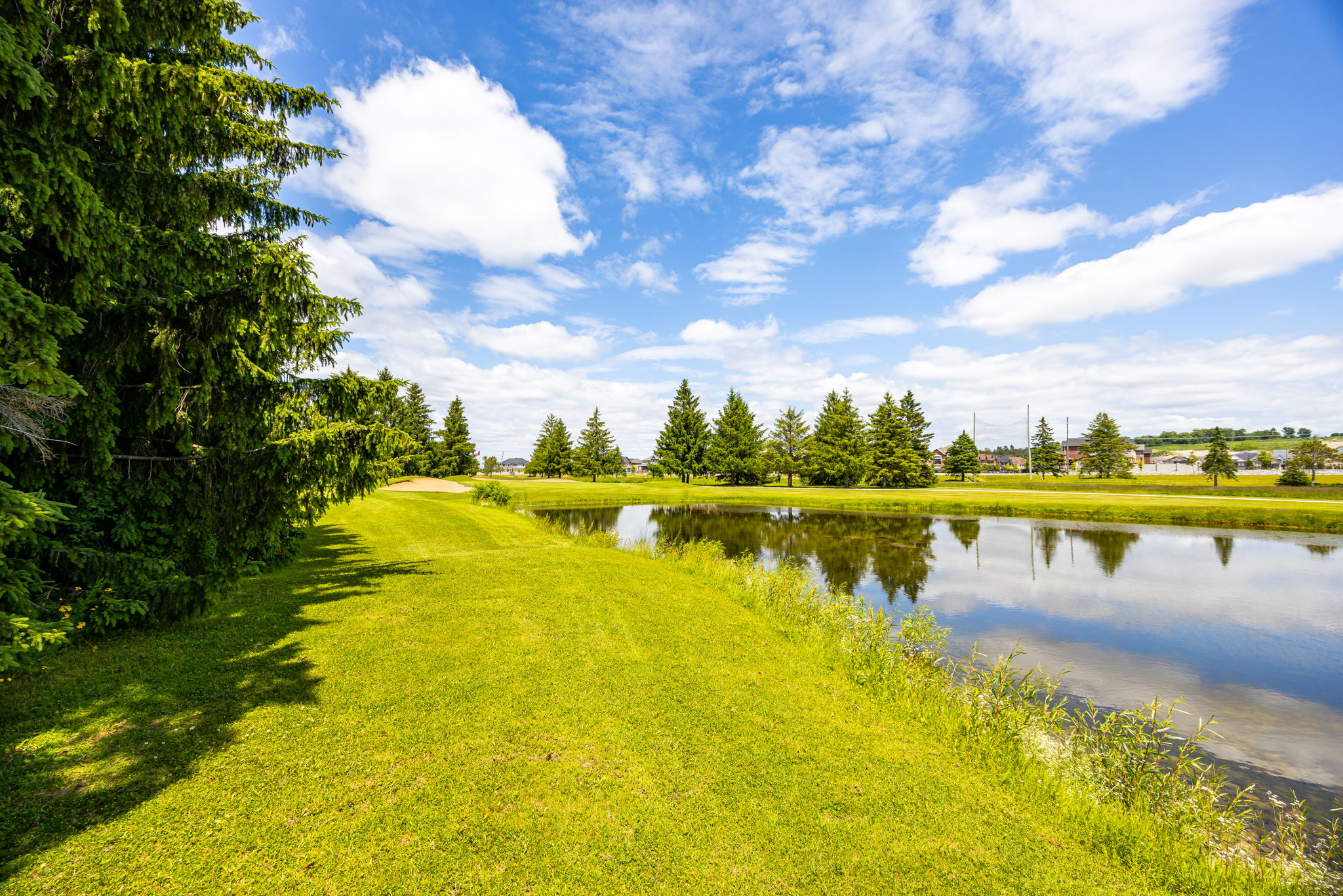 New Tecumseth property showcase — delivered property photograph 42