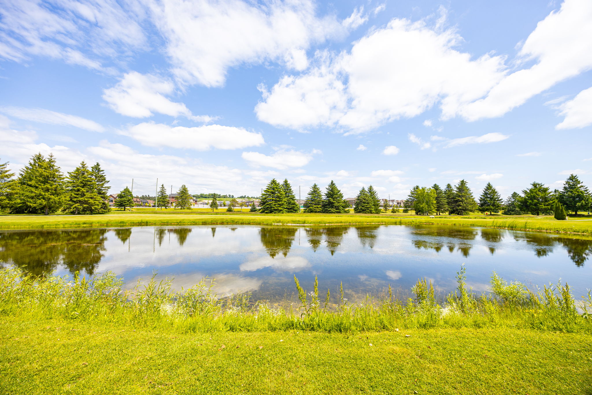 New Tecumseth property showcase — delivered property photograph 43