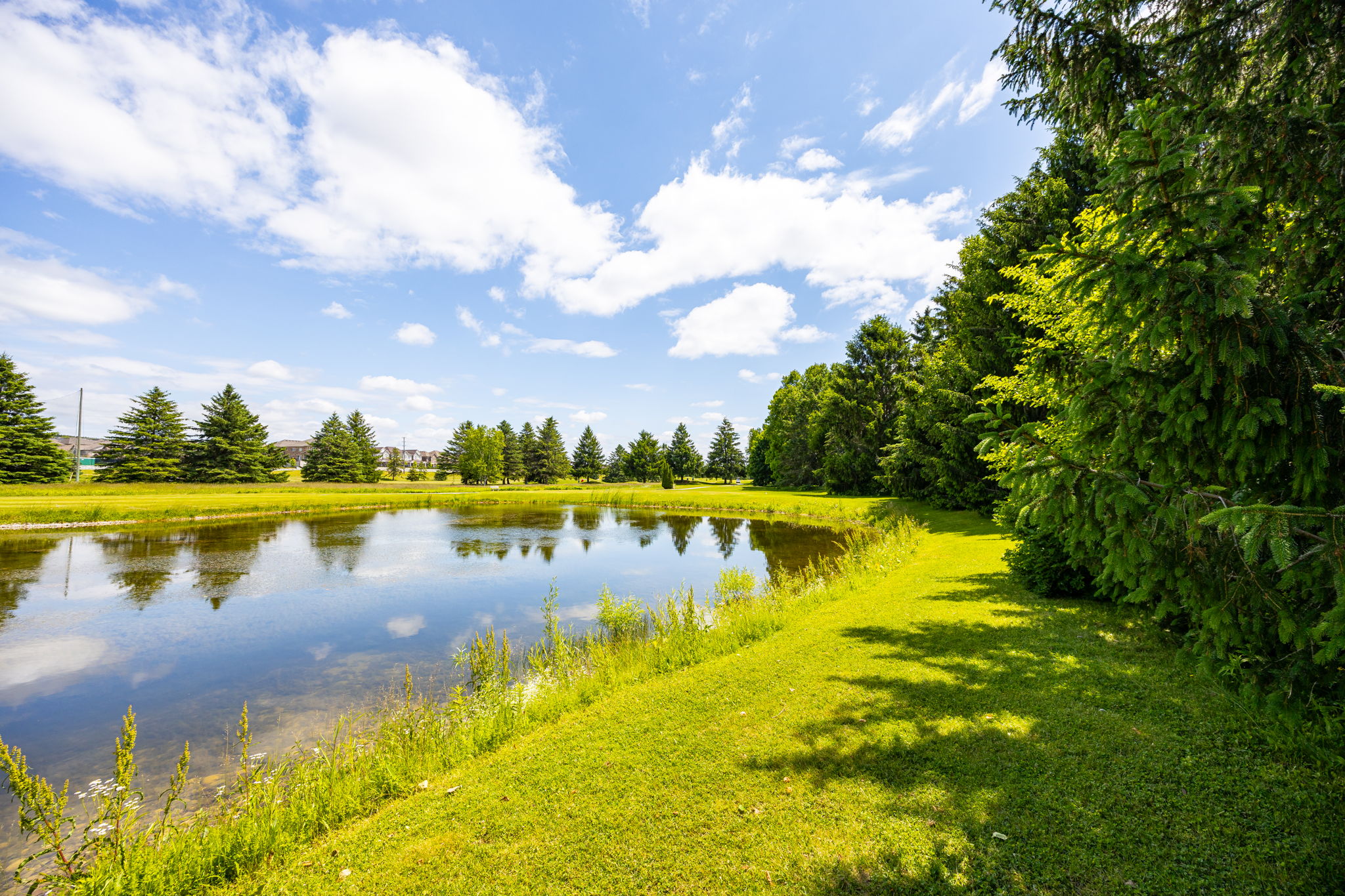 New Tecumseth property showcase — delivered property photograph 44