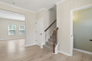  Photo 61