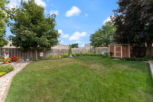  Photo 49