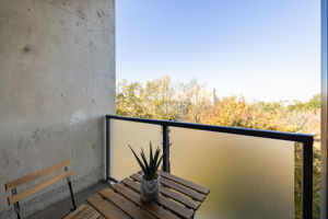 20251103_480jwd_dorfman079