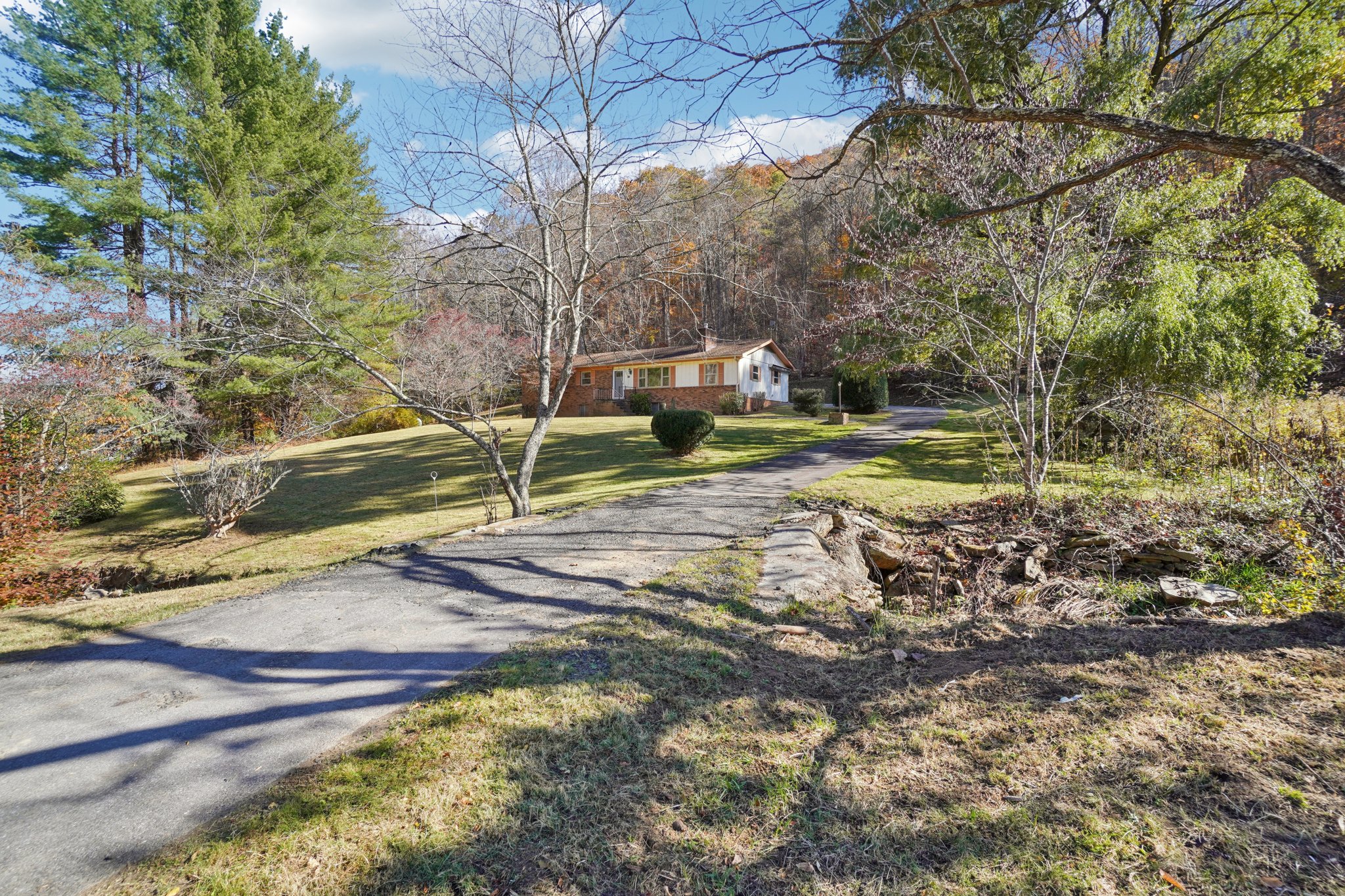 Paint Fork Rd-S0711-002.jpg