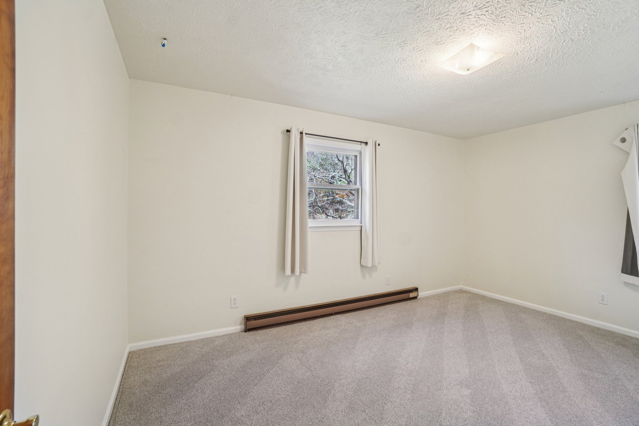 Paint Fork Rd-S0711-013.jpg