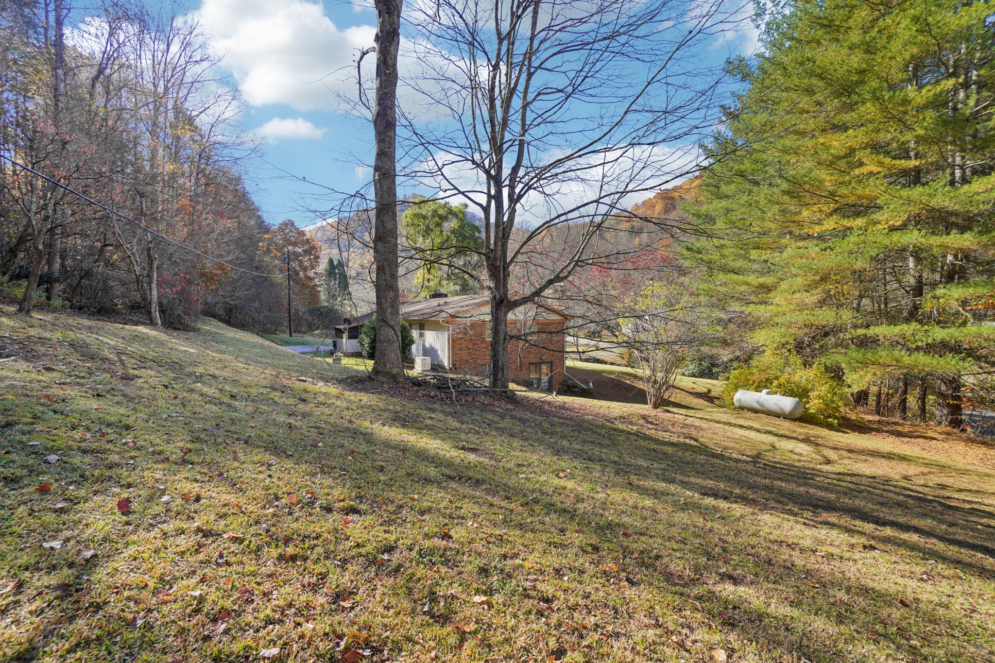 Paint Fork Rd-S0711-030.jpg