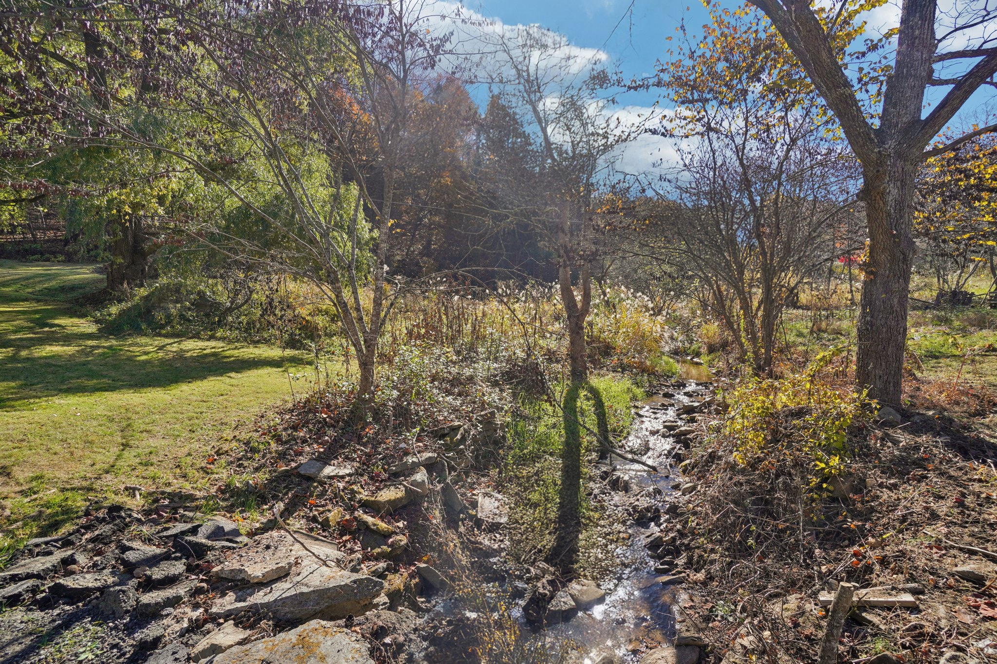 Paint Fork Rd-S0711-032.jpg