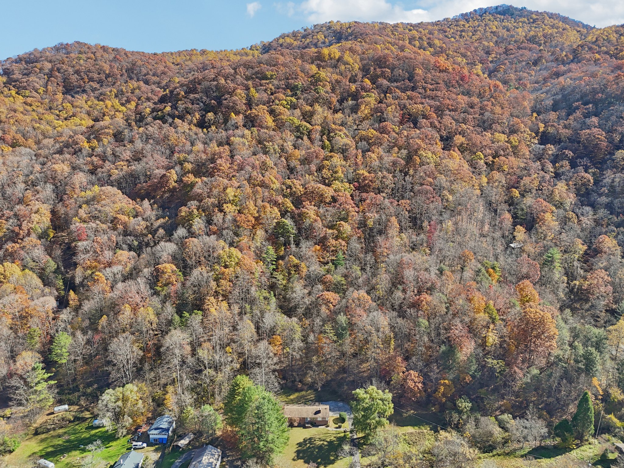 Paint Fork Rd-S0711-040.jpg