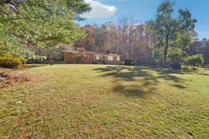 Paint Fork Rd-S0711-001.jpg