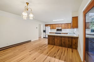 Paint Fork Rd-S0711-008.jpg