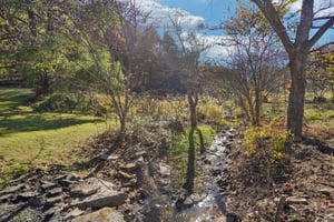 Paint Fork Rd-S0711-032.jpg