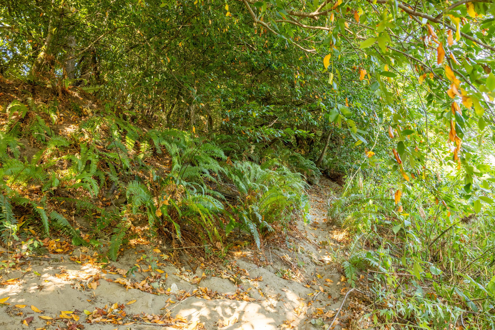  Photo 23