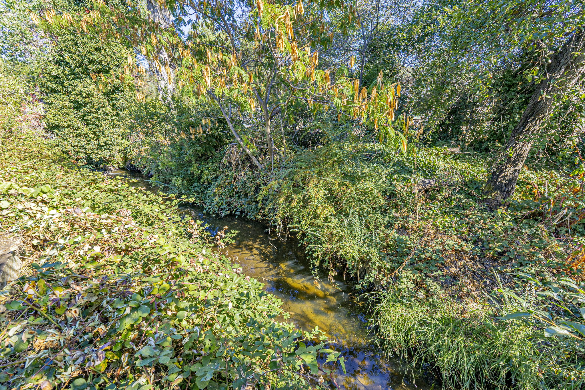  Photo 32