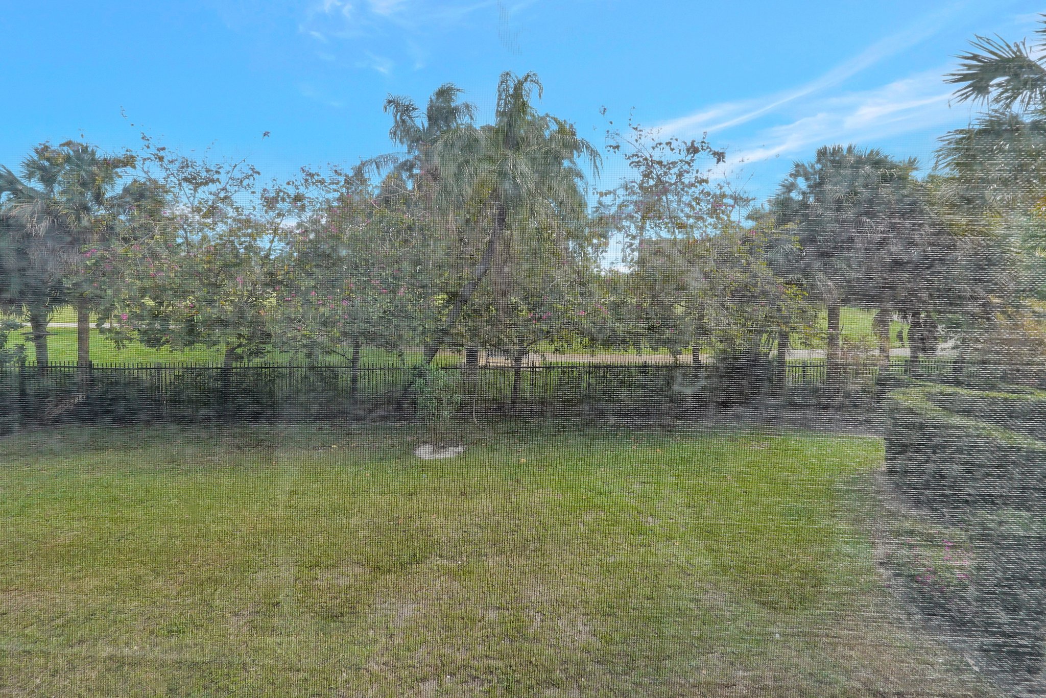  Photo 31