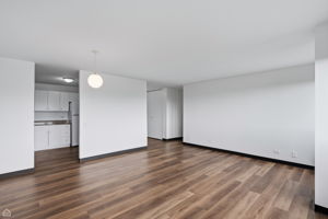 4800 S Lake Park Ave 1009B - NCG_006