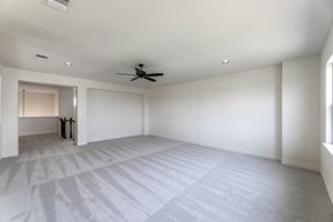  Photo 49