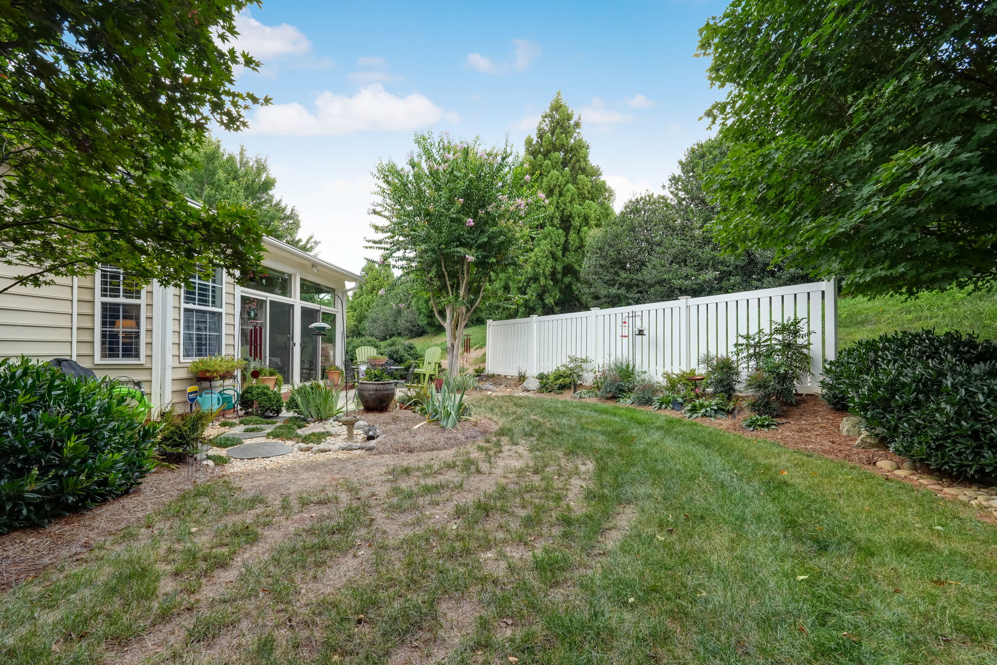 Back Yard