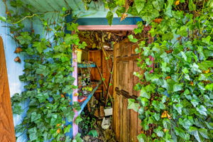  Photo 48