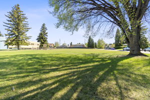  Photo 51