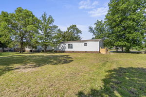 Back of House