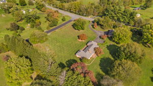  Photo 45