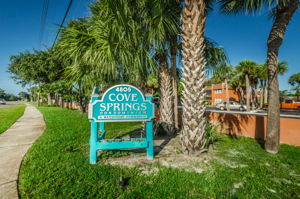 Cove Springs