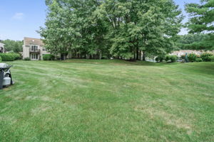  Photo 37